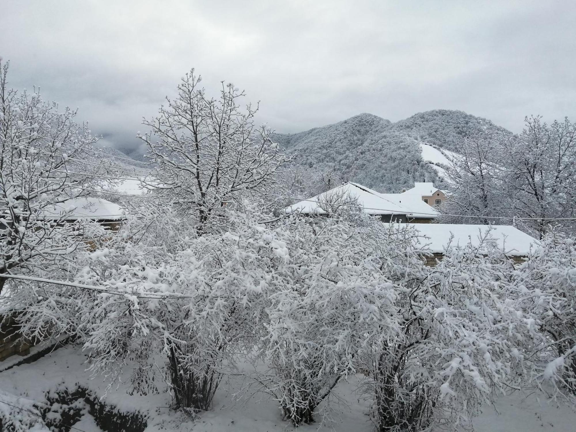Dreams * Gabala