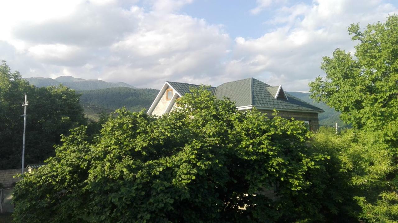 Dreams * Gabala